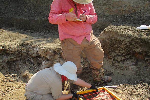 <a href='http://cl062o.lfkgw.com'>bv伟德ios下载</a>学生在麦卡尔哈尼采石场测绘三角龙骨骼.